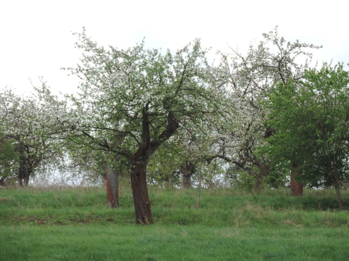 Pod Miotelka Farm stay Wlen