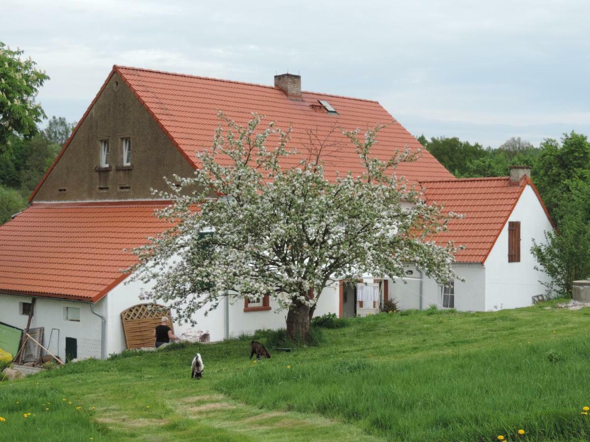 Pod Miotelka Farm stay *